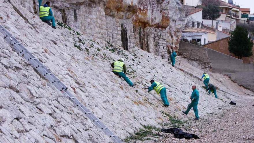 Trabajos de limpieza en la muralla acometidos dentro del último Plan de Empleo.