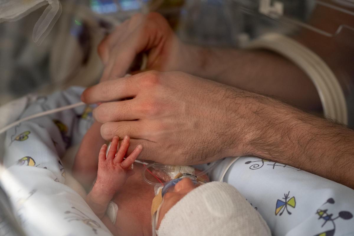 La maneta d'un nadó prematur amb les d'un adult a l'Hospital Clínic de Barcelona