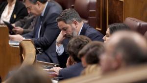 Santiago Abascal en su escaño del Congreso durante el debate de investidura.