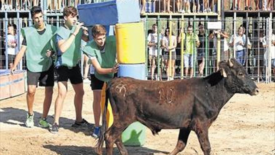 ALCALÀ PARTICIPA EN UN GRAND PRIX CON VAQUILLAS