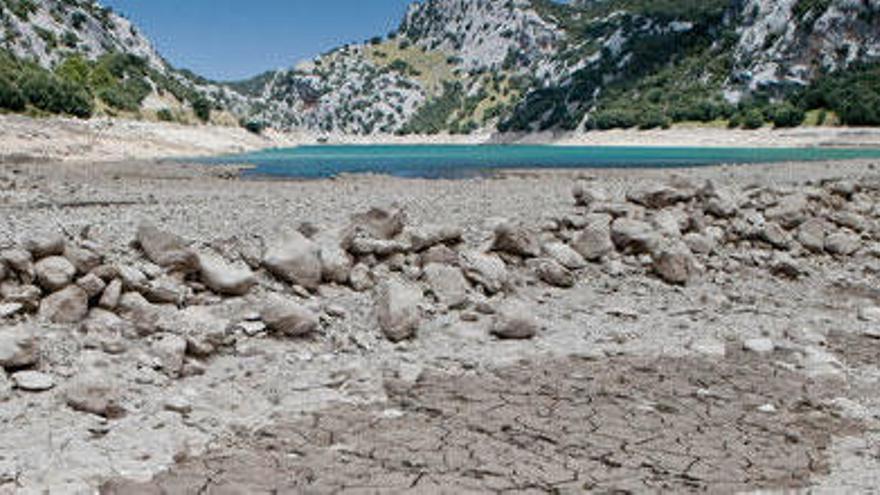 Landesregierung schlägt Alarm wegen Trockenheit im Inselinnern von Mallorca