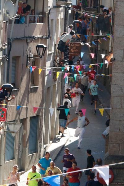 Fiestas en Zamora: Último encierro en Fermoselle