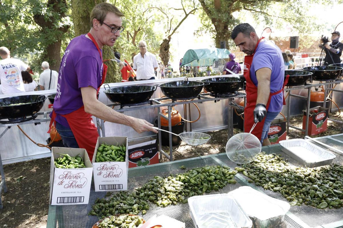 Padrón se rinde al pimiento de Herbón: 3.000 raciones para una fiesta multitudinaria Padrón se rinde al pimiento de Herbón: 3.000 raciones para una fiesta multitudinaria