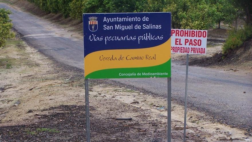 Ecologistas y vecinos se oponen a la modificación de una vía pecuaria a su paso por el sector PAU 21 de Orihuela