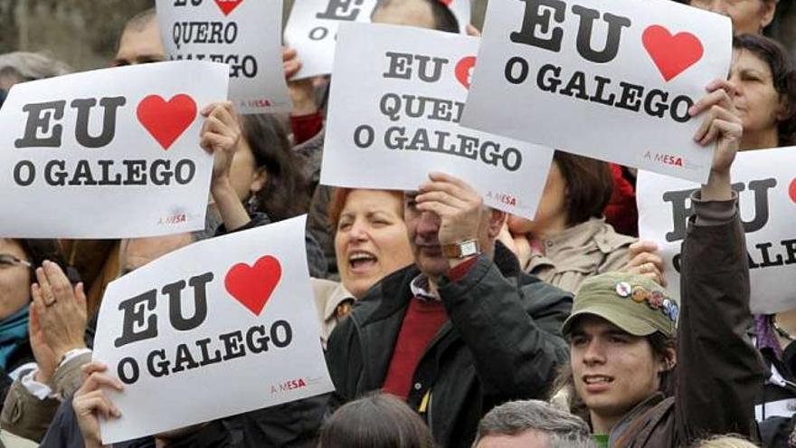 La Agencia Lingüística Europea critica la política de la Xunta sobre el idioma