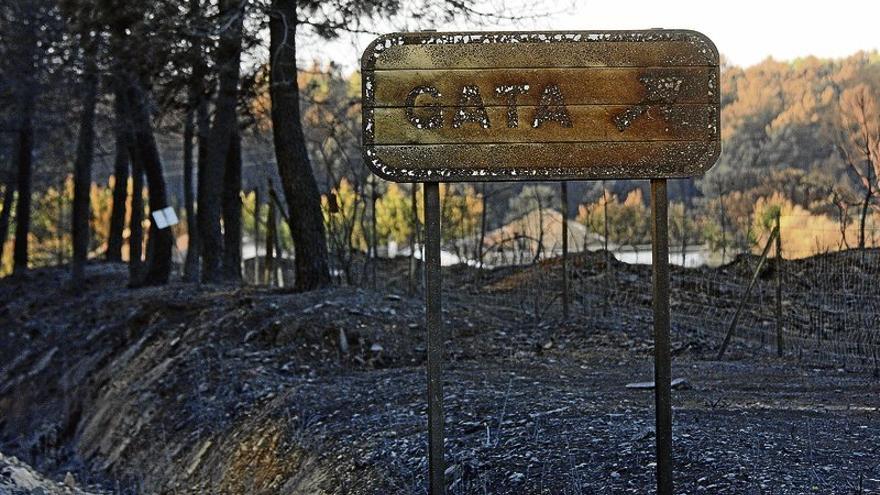 95 localidades extremeñas en zona de alto riesgo de incendio carecen de plan preventivo