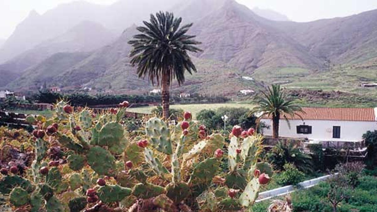 Haciendas Canarias para huir del frío