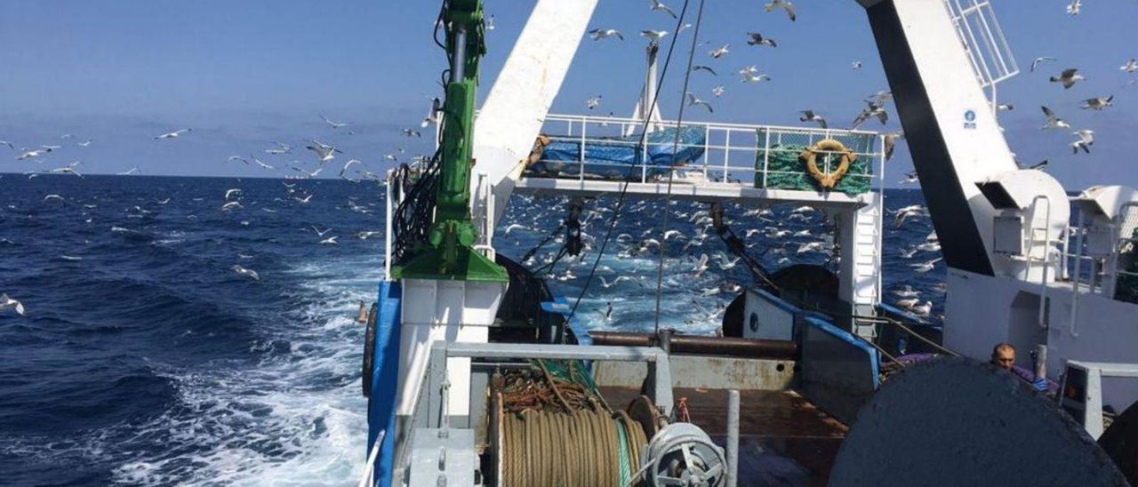Arrastrero congelador, durante maniobras de pesca en alta mar. | // FDV