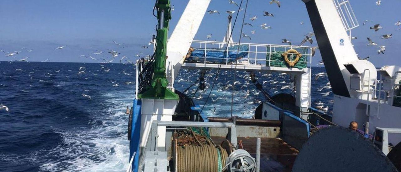 Arrastrero congelador, durante maniobras de pesca en alta mar. |   // FDV