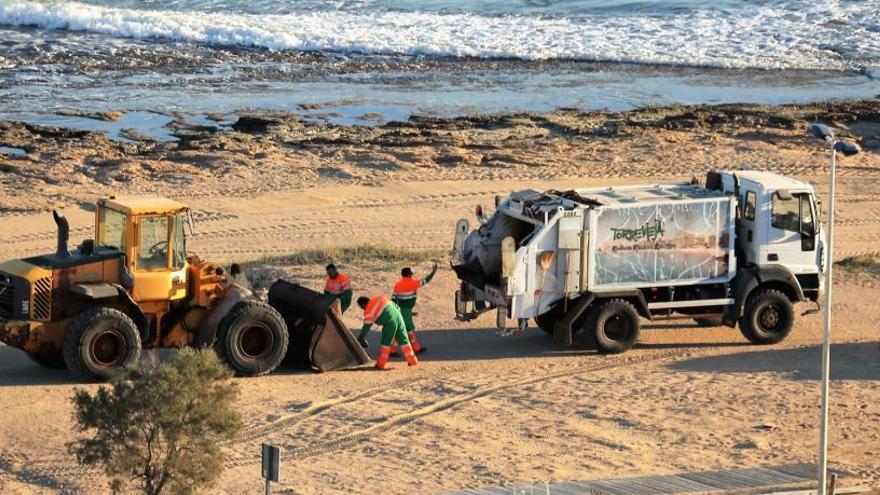 El nuevo servicio también incluye la limpieza diaria de playas de Torrevieja.