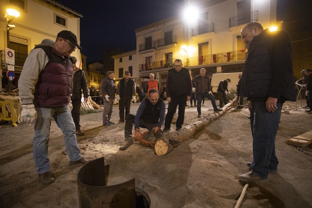 Sant Antoni arranca en Sagunt con la tradicional Plantà del Pi