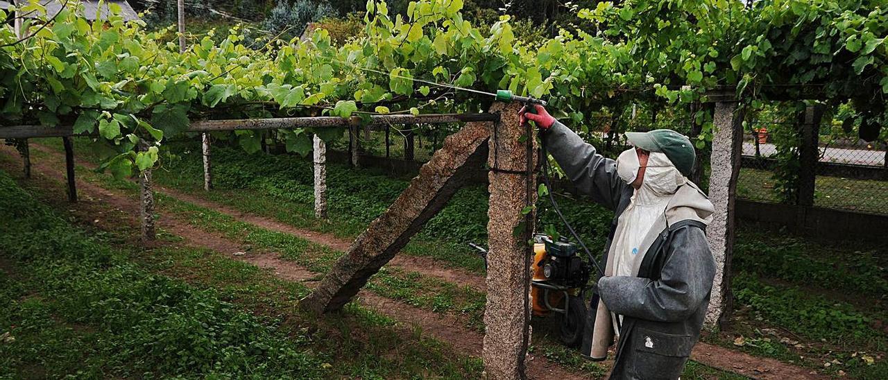 Un viticultor aplica un tratamiento fitosanitario en su viñedo.   | // IÑAKI ABELLA