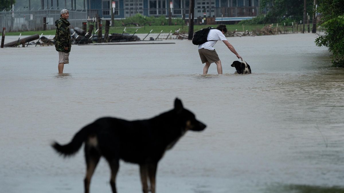 Al menos 13 muertos en Texas por una súbita inundación tras la crecida del río Guadalupe