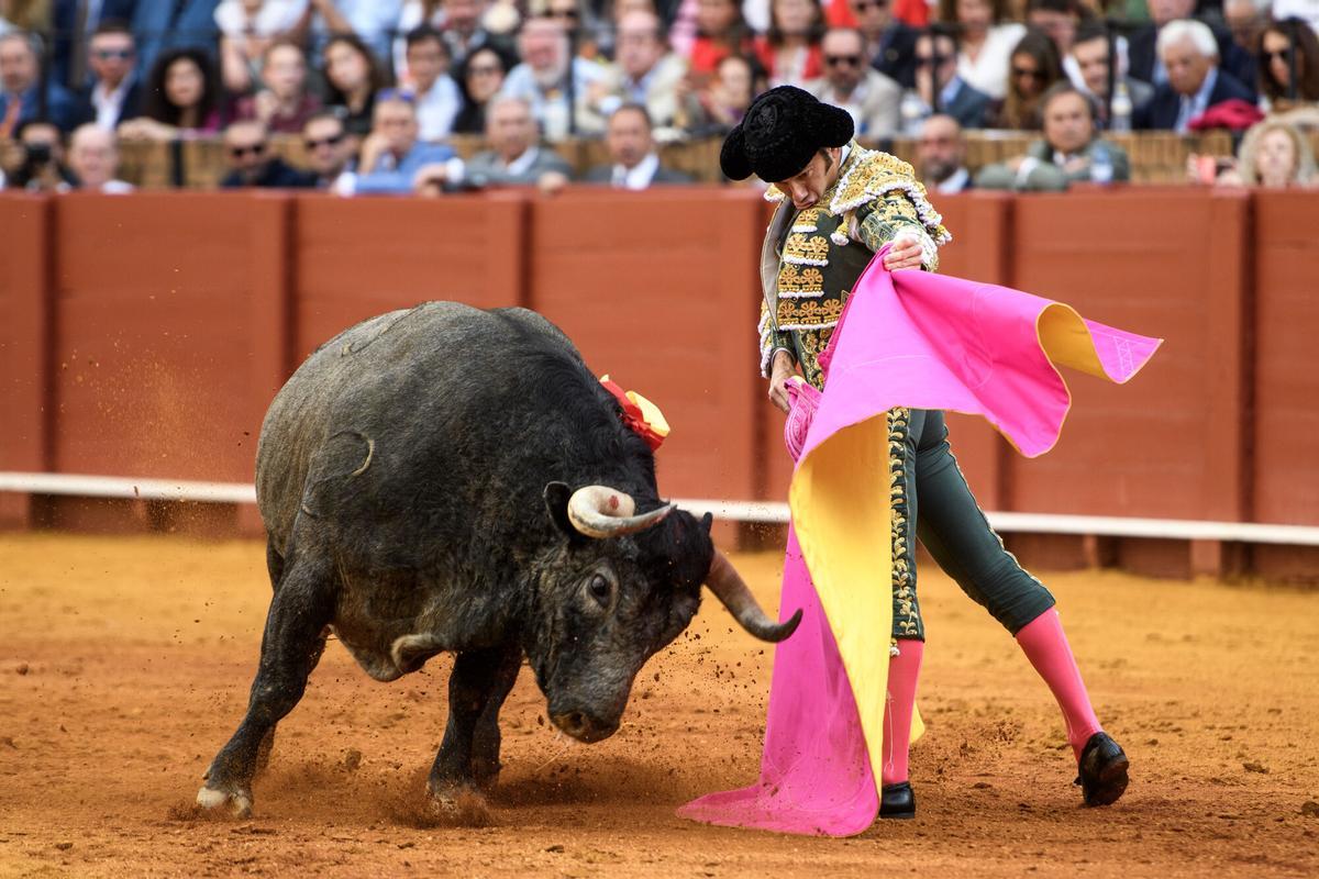 SEVILLA (ESPAÑA), 25/04/2026.- El diestro José Garrido con su primer toro en la corrida decimoquinta de abono que se ha celebrado en la Plaza de Toros de La Maestranza de Sevilla este sábado. EFE/ Raúl Caro.
