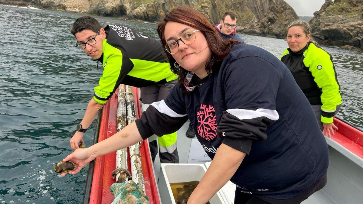 La asociación Amicos, que trabaja con personas con discapacidad,  impulsa la restauración de los ecosistemas marinos de Luarca con la plantación de algas laminarias