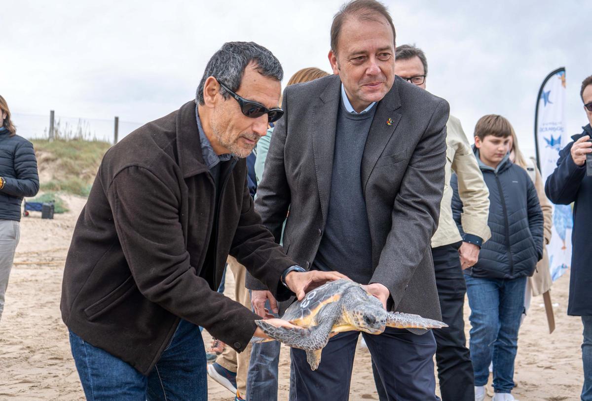 Ignacio Jiménez y Luis Gomis acompañan a una de las tortugas recuperadas