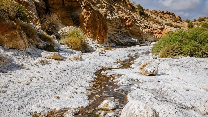El paisaje de la Vega Baja que parece nieve mientr