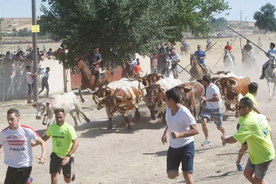 Fiestas en Zamora: Segudos espantes de Fuentesaúco