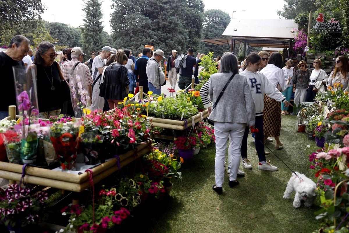 El público ha disfrutado de numerosas actividades en la muestra floral.