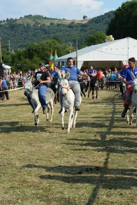 "Burrocross" en las fiestas de San Tirso