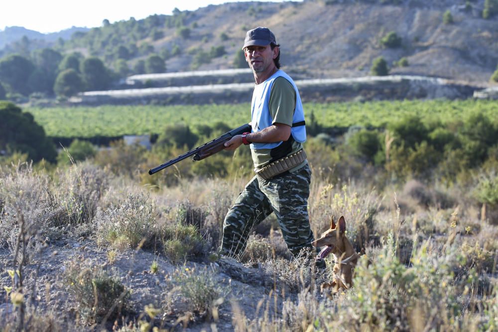 Diez mil cazadores inician la temporada de caza del conejo