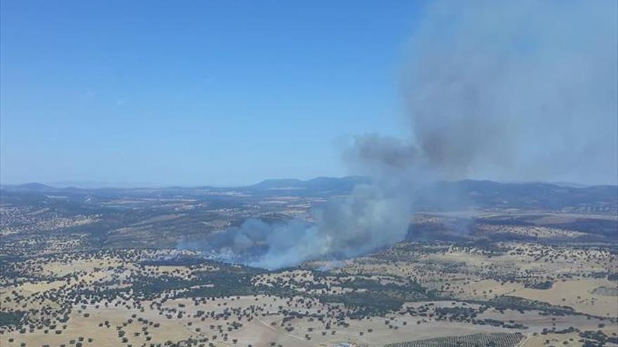 Incendio en el paraje de Los Tagarnillares