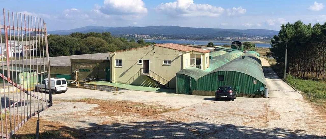 Las instalaciones de Insuiña en la actualidad. En el recuadro, la maqueta del Pescanova Biomare Center. // Muñiz