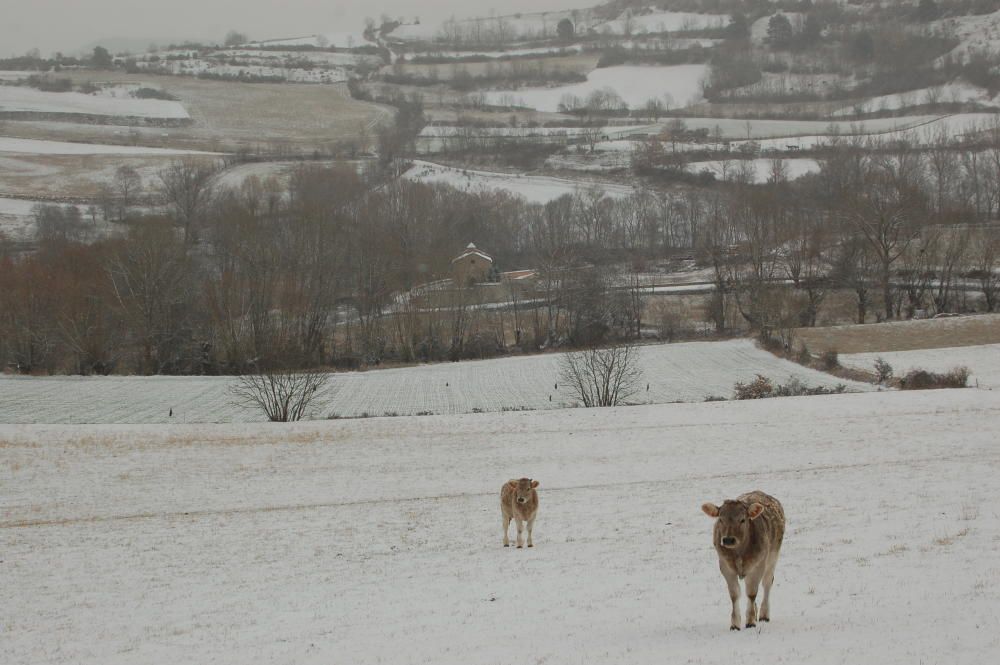 Nevada a la Cerdanya, Ripollès i Selva (1/12/2017)