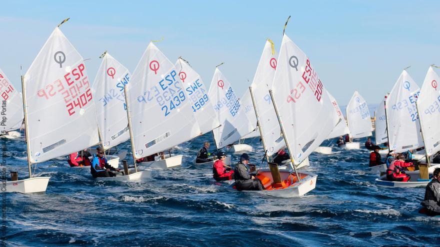 La mejor flota internacional de Optimist, con 17 países, se citan un año más en aguas de Torrevieja