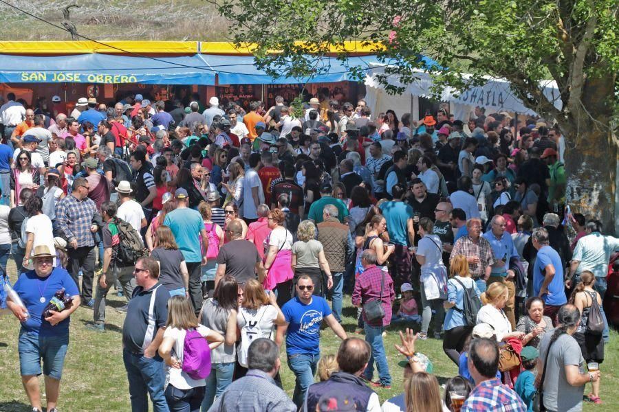 Romería de Valderrey en Zamora