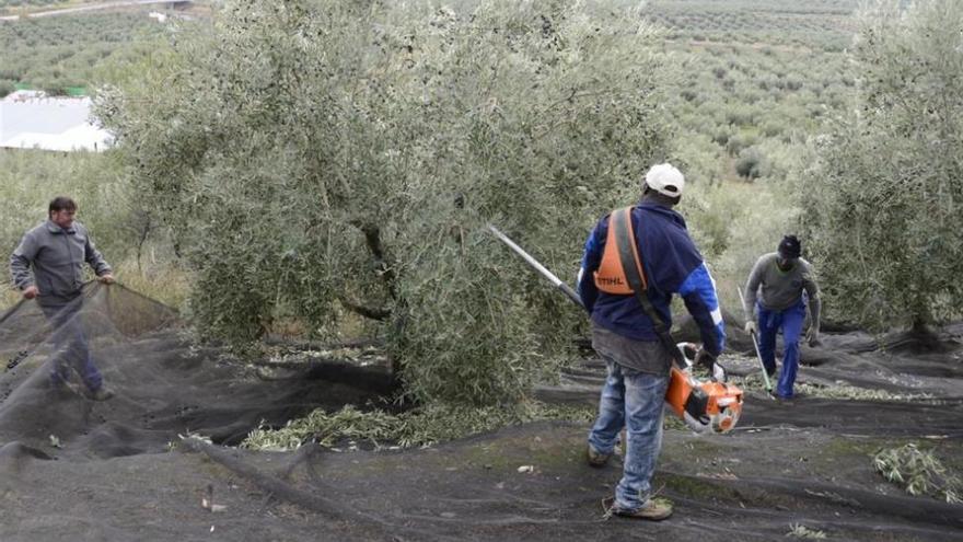 UGT exige la eliminación de las peonadas para acceder al subsidio agrario