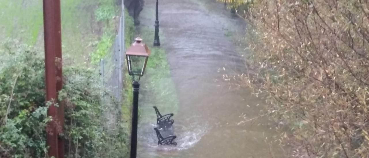 El río ha inundado uno de los paseos del río Jerte en Plasencia por la borrasca Efraín.