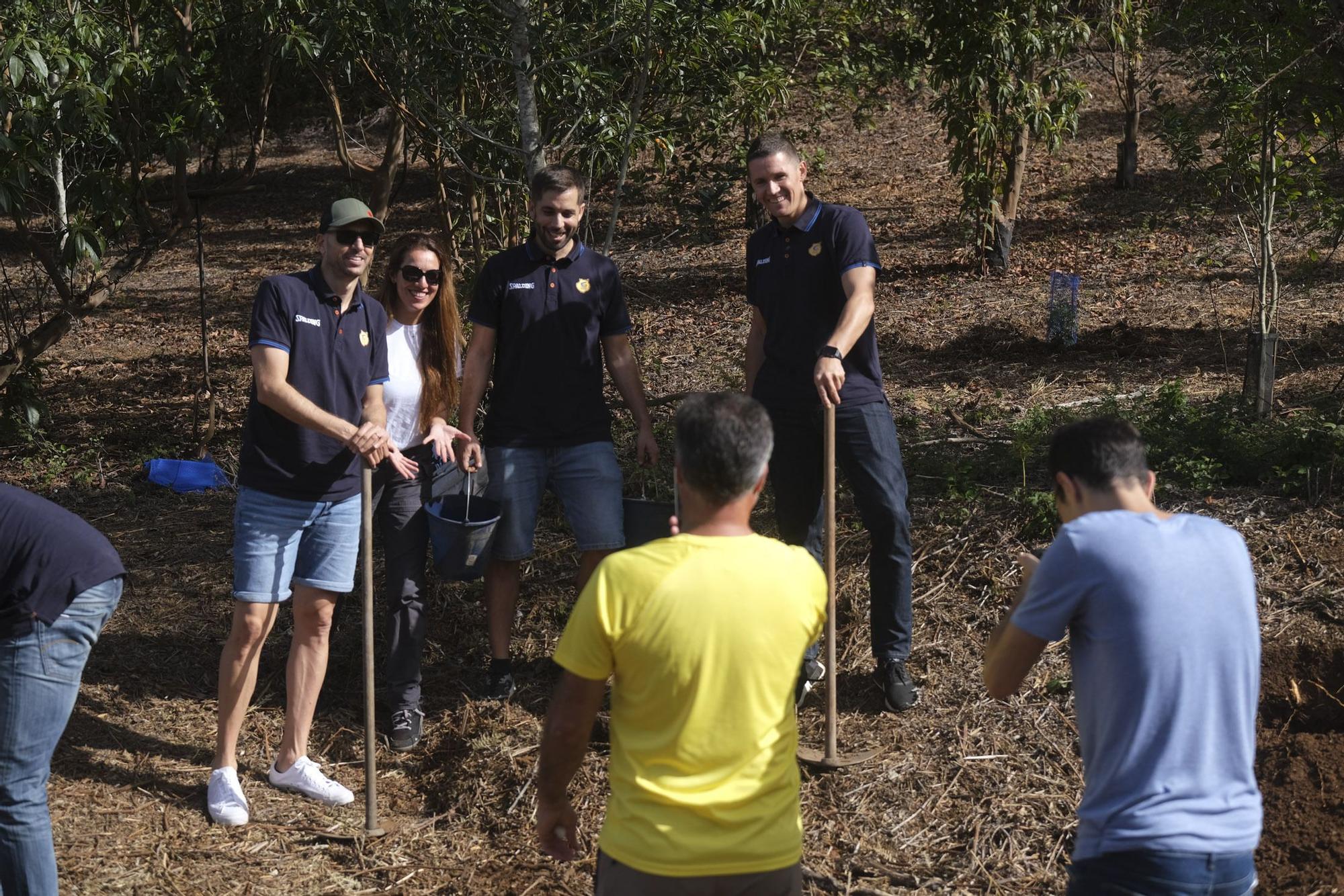 Reforestación Compromiso Granca