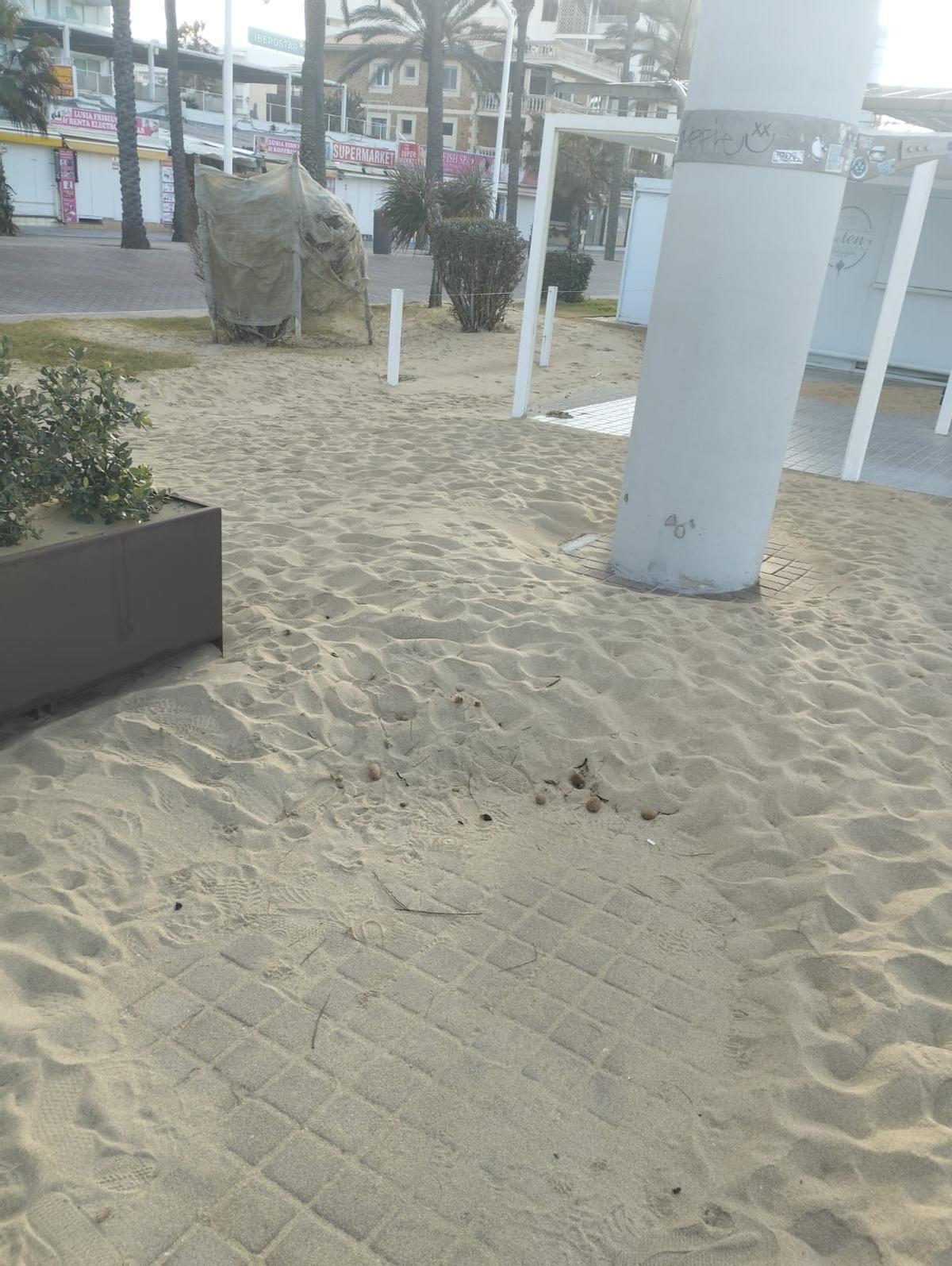 Acumulación de arena en la Platja de Palma.