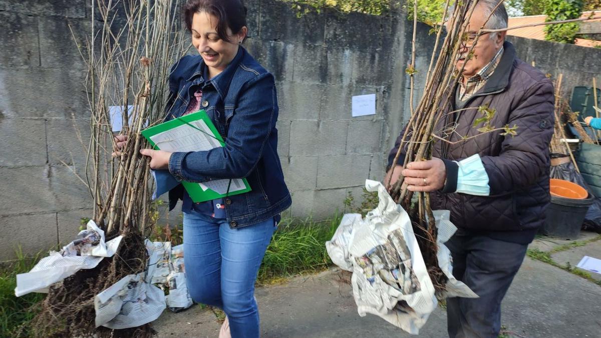 La concejala de Medio Ambiente entrega plantas autóctonas a un vecino. |   // FDV