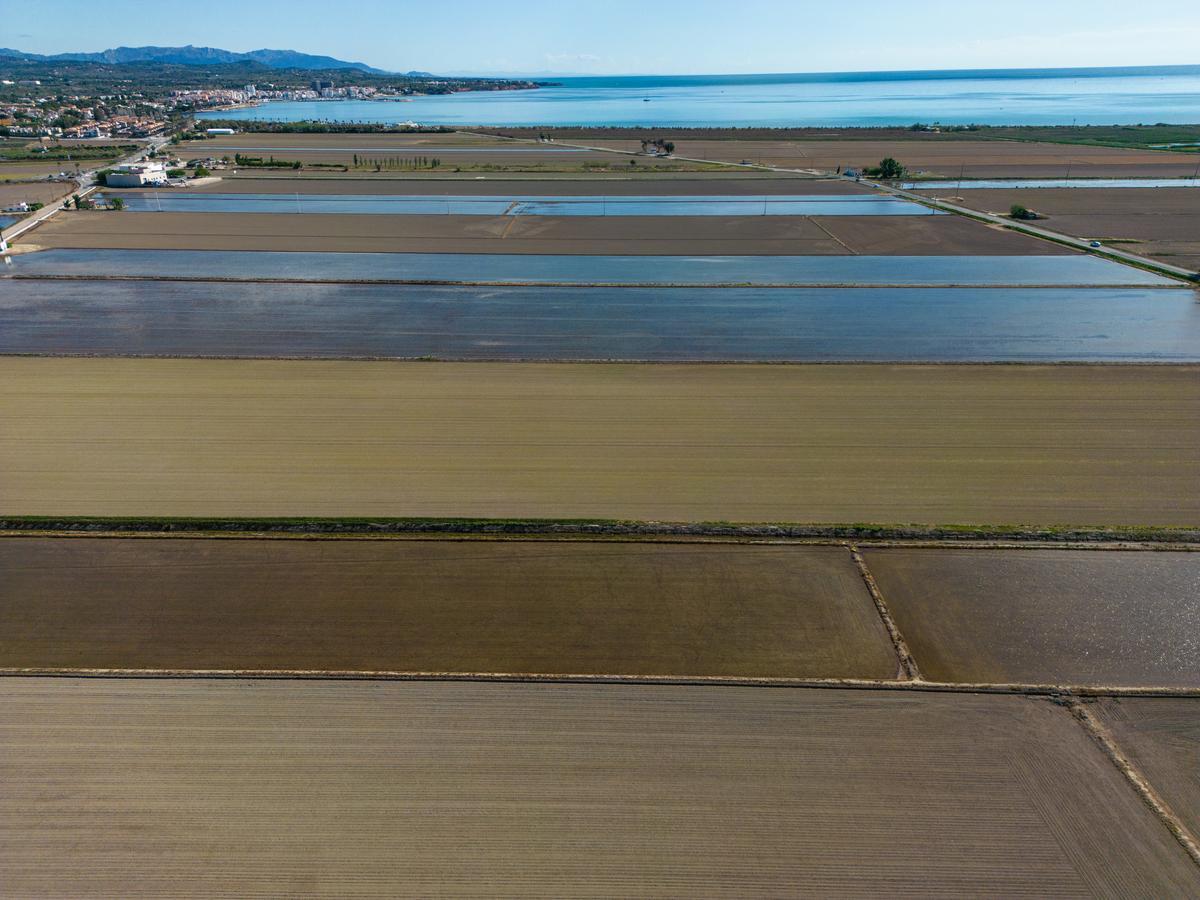 Campos de arroz, algunos de ellos ya inundados, en el delta del Ebro.