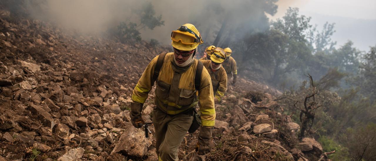 Agentes forestales en el incendio de la Sierra de la Culebra el pasado mes de junio.