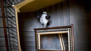 «Ni els interns ni els  polis volen ser allà dins»_MEDIA_1