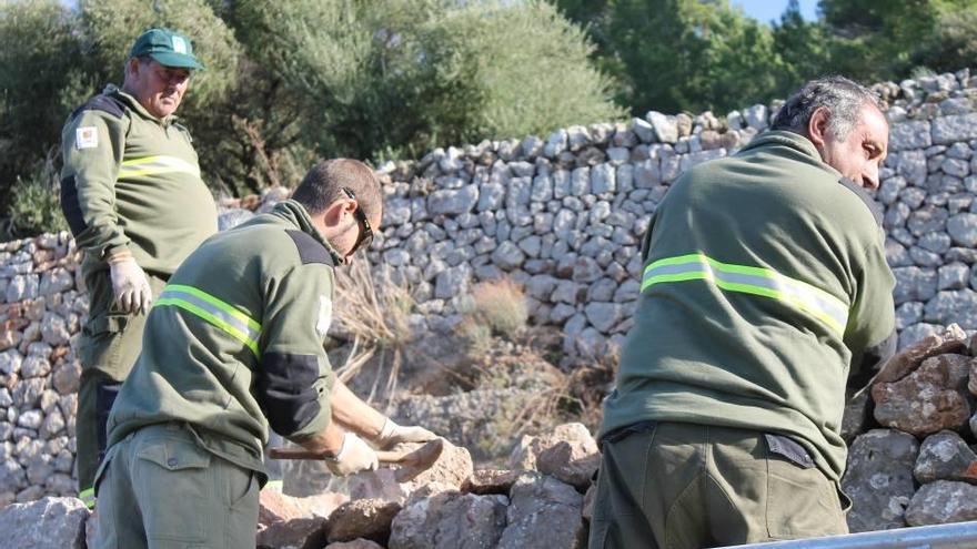 Operarios trabajan en la reconstrucción de ´marjades´ en Planícia.