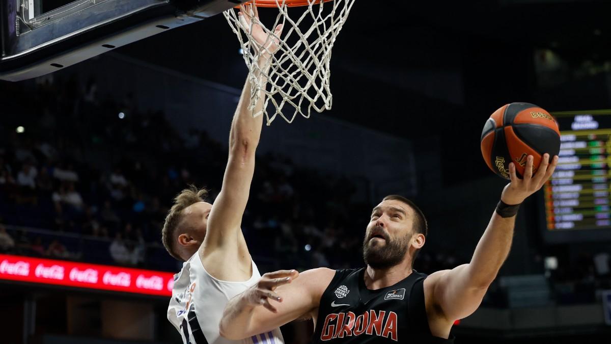 Marc Gasol, ante Dzanan Musa la pasada campaña