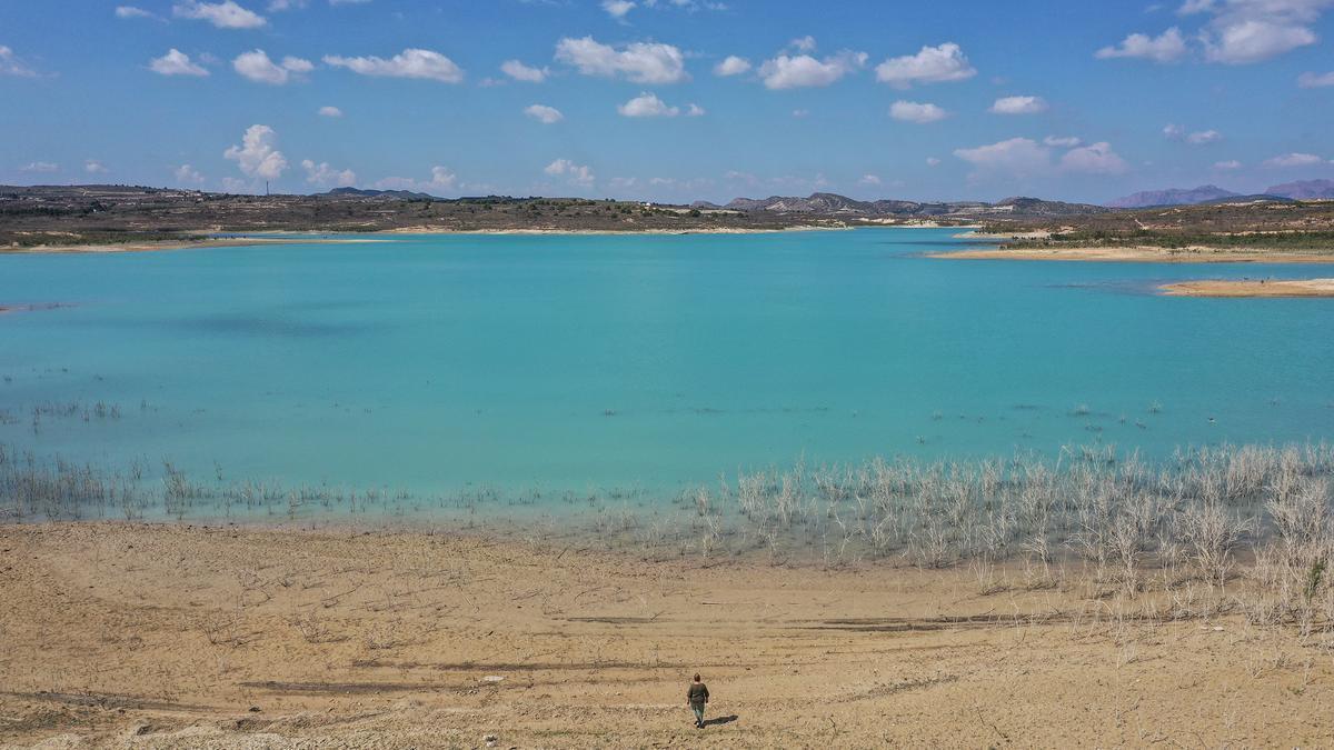 El embalse de La Pedrera, se terminó a principios de los años ochenta. Cuenta con 1.400 hectáreas de extensión y unos 240 hectómetros de capacidad -la media que suele embalsar es de menos de cien-. Solo recibe aportaciones del trasvase Tajo-Segura y de la desalinizadora. De forma extraordinaria algunos caudales del Segura a través del trasvase cuando hay avenidas.