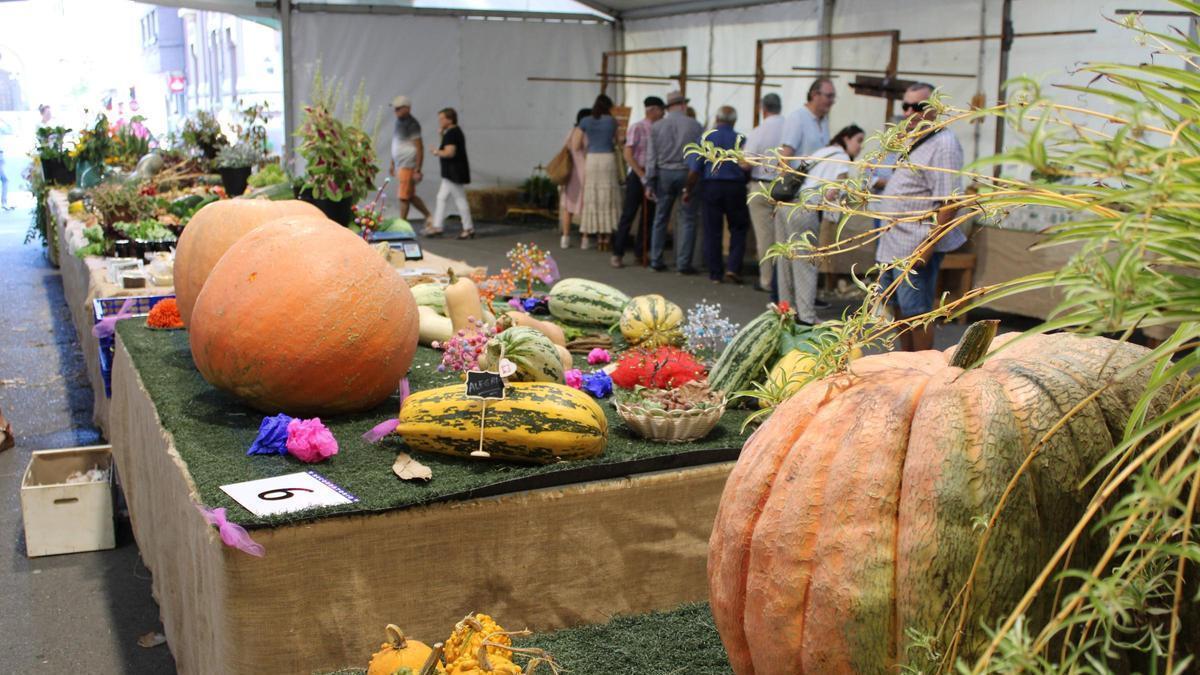 Calabazas y productos de la huerta