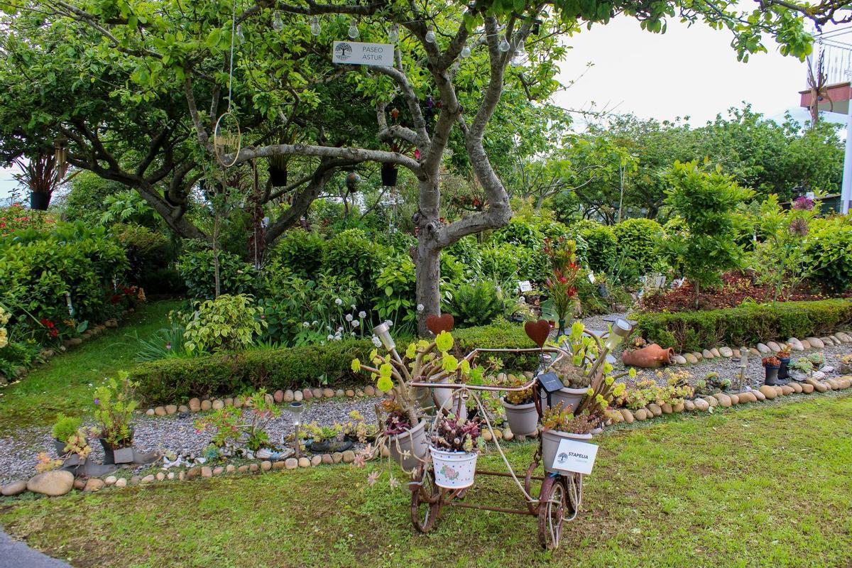 EN IMÁGENES: "The Garden Molleda" celebra su décimotercer aniversario