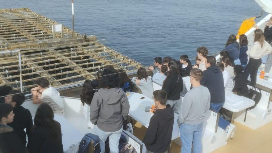 Ensayo general en los catamaranes para Semana Santa