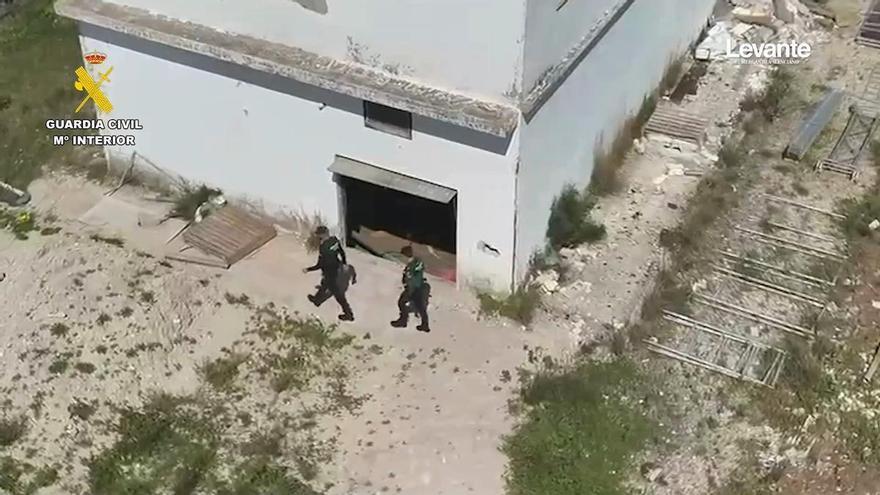 Un detenido tras desmantelar en Oliva una plantación con 410 plantas de marihuana