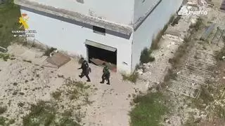 Un detenido tras desmantelar en Oliva una plantación de 410 plantas de marihuana en floración