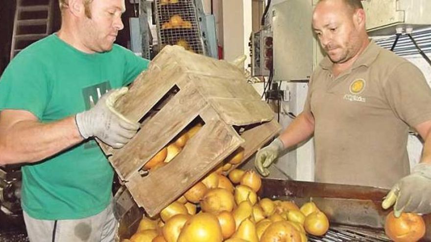 La sidra de Nava es la pera