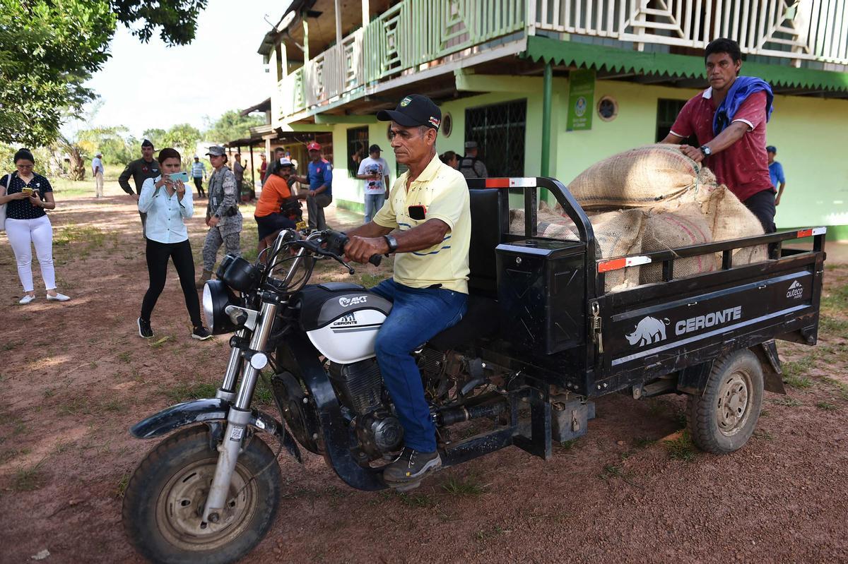 Desde hace diez años en Guerima, Colombia, los árboles de cacao reemplazan a los arbustos de coca en este departamento del tamaño de Guatemala, fronterizo con Venezuela. Está lejos de la bonanza que trajo el ingrediente principal de la cocaína, pero se ha convertido en una fuente estable de ingresos.