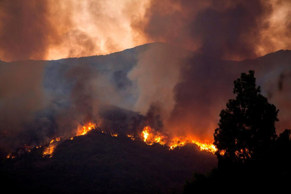 Desalojadas unas 50 personas por el incendio de ...