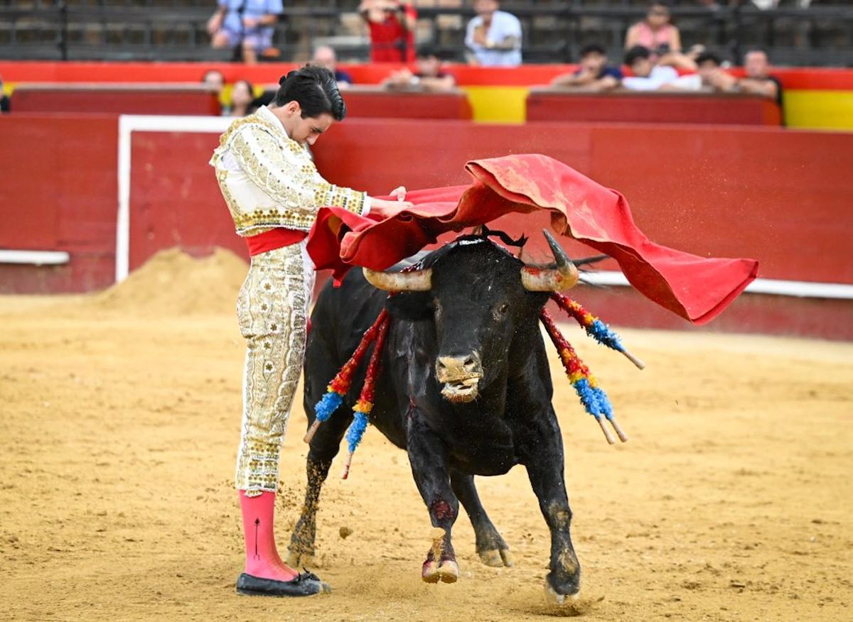 La verticalidad de Marco Polope